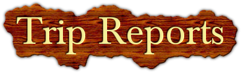 Trip Reports Logo