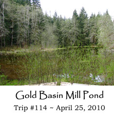Trip 114 Gold Basin Mill Pond 04-25-10