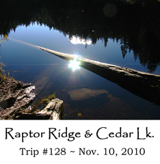 Trip 128 Raptor Ridge 11-10-10