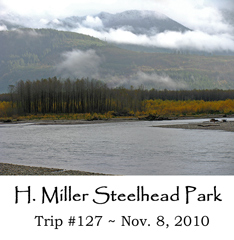 Trip 127 Howard Miller Steelhead Park 11-08-10