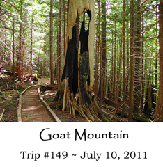 Trip 149 Goat Mtn 07-10-2011