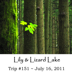 Trip 151 Lily Lizard Lakes 07-16-2011