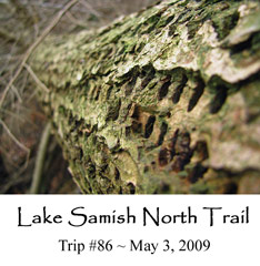 Trip 86 Lake Samish 05-03-09